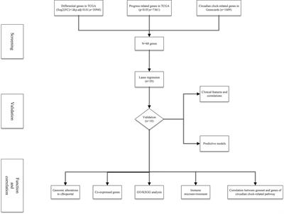 Identification of a Novel Nomogram to Predict Progression Based on the Circadian Clock and Insights Into the Tumor Immune Microenvironment in Prostate Cancer